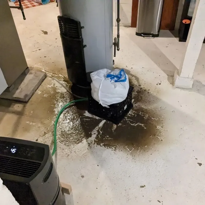 Sewage Backup Cleanup Service in Peridot, AZ
